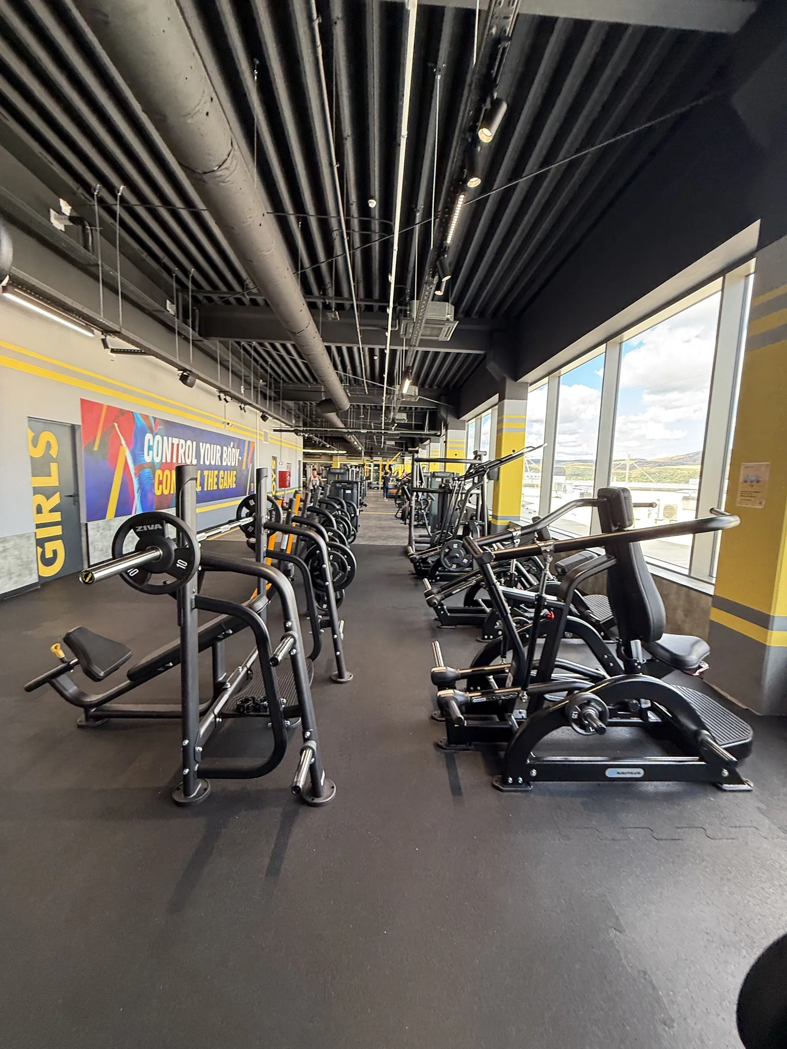 The gym floor at Stay Fit, rows of machines in front of tall windows