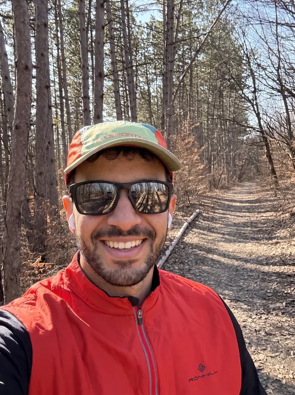 A walk on a forest path in spring sunlight